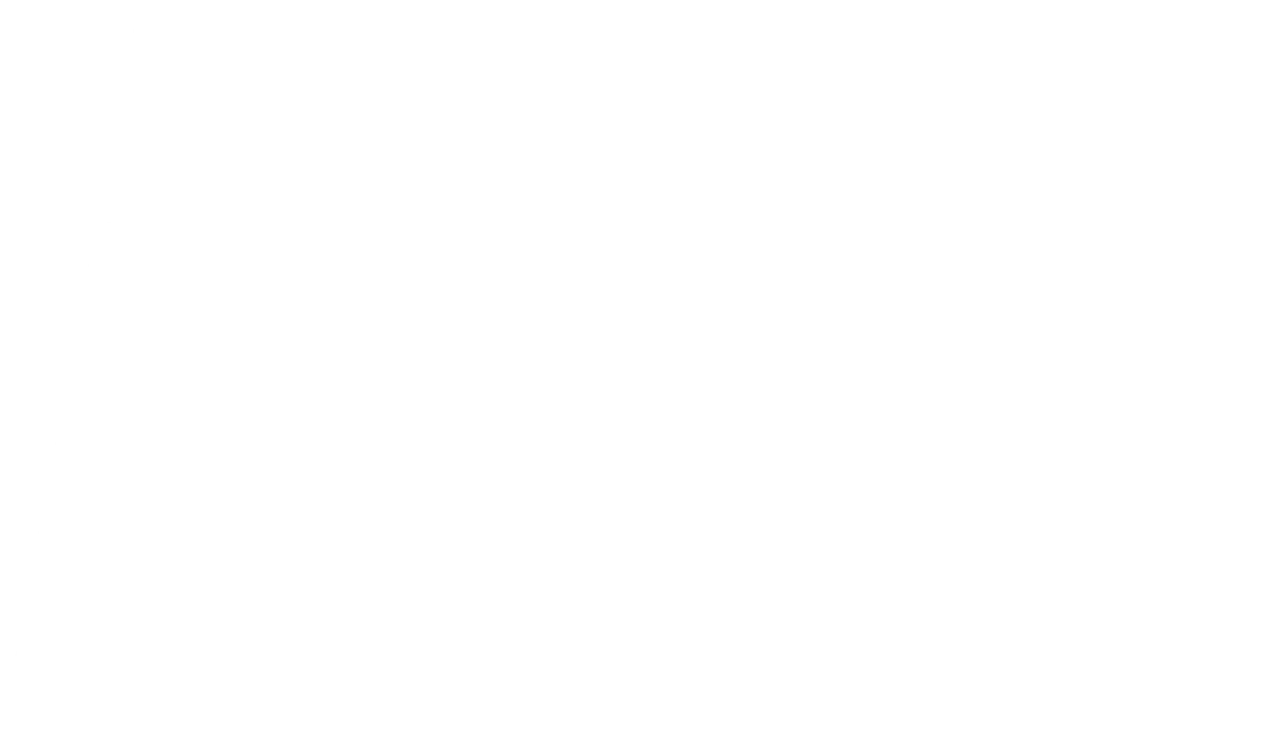 DriveVibe Logo